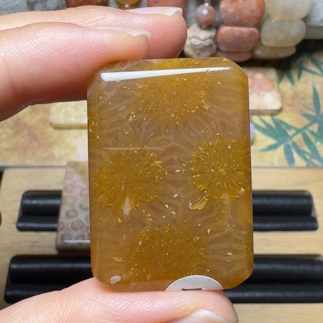 硅化玉高糖太阳花，有骨骼未镶嵌