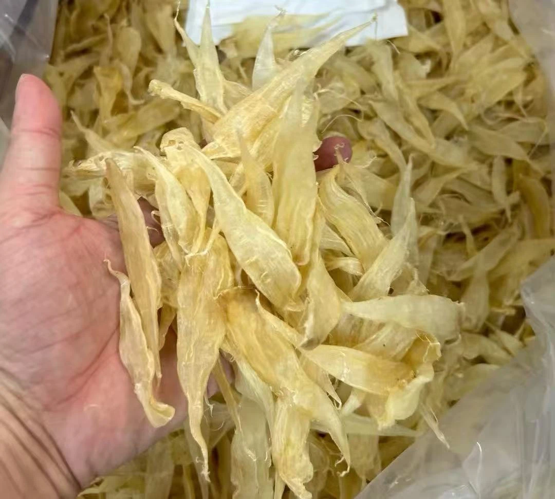 【飞飞严选】430头豆仁公花胶