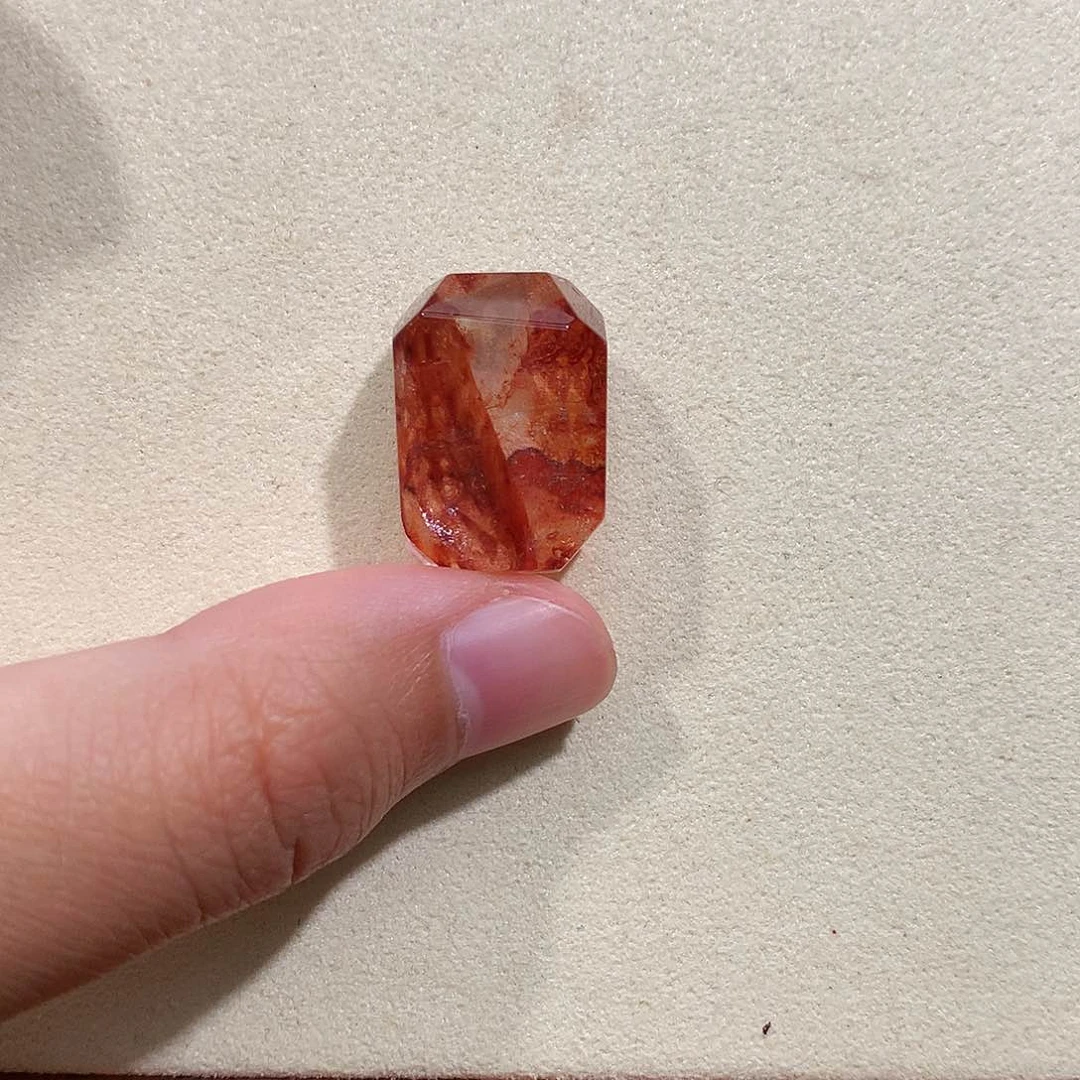 无非金属红浇花随行