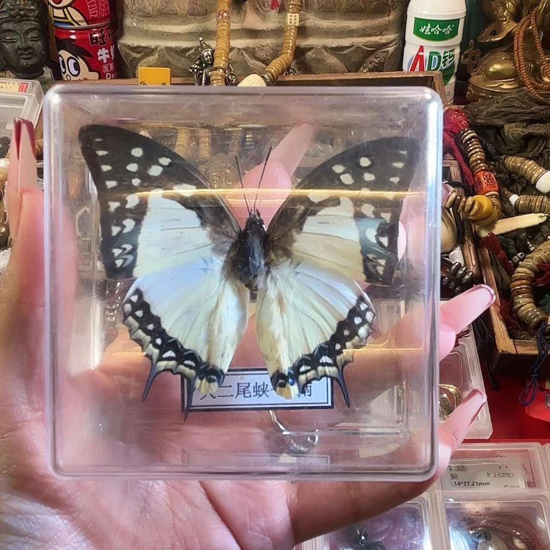 树脂制品好好好好好好好好好看