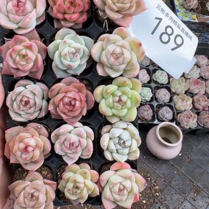 189。