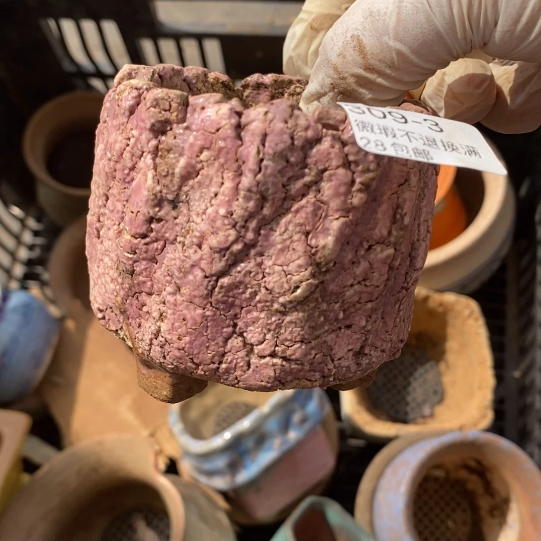 红陶用****23号多肉盆一个呀