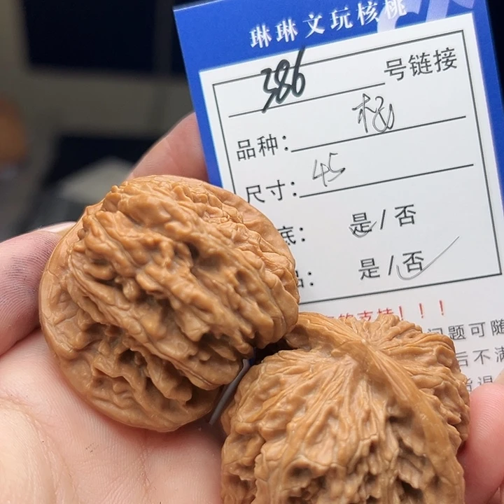 文玩核桃吊坠核桃树386