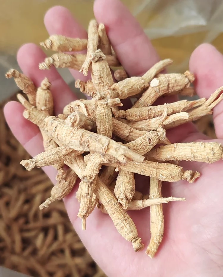 云南好山货xys【现收】干货土特产---【3】---