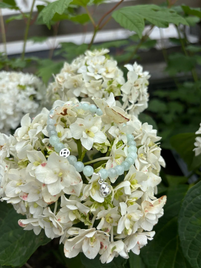 怪斋文化天然缅甸翡翠葫芦手链赠送耳饰白色时尚珠珠