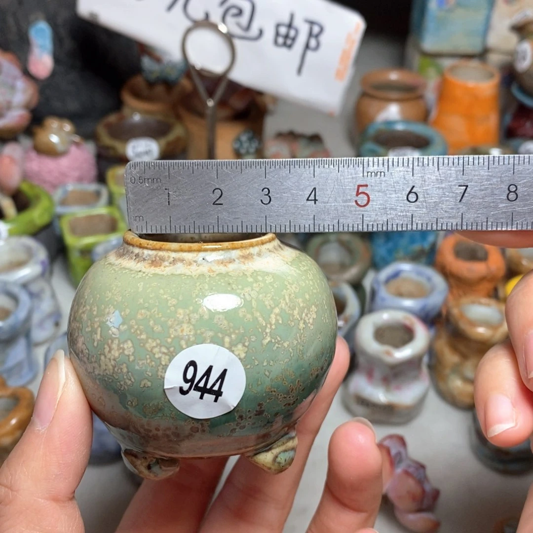 拍5送一个小礼物