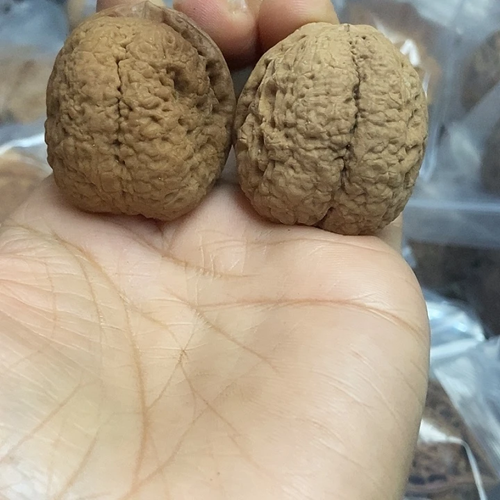 文玩核桃把件云南铁核桃基地63