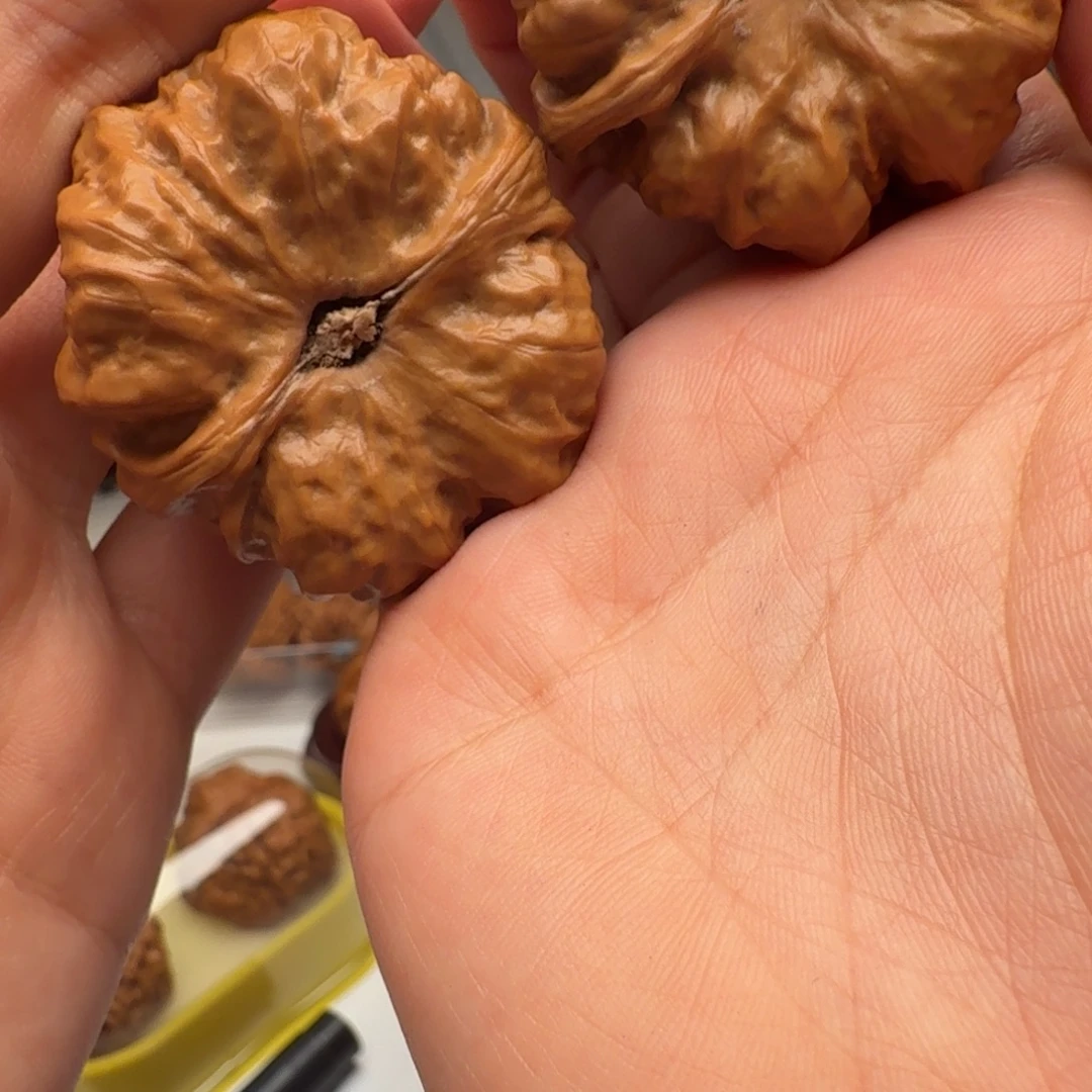 冷***风核桃金蝉在手财运绵绵