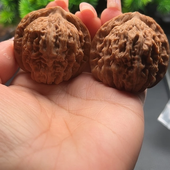 核桃44四座楼全品