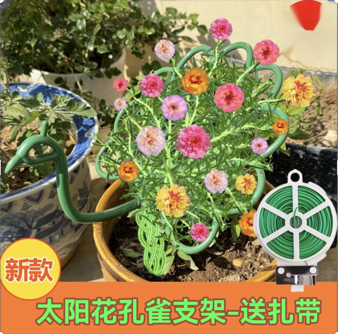 孔雀太阳花架室内花架太阳花造型单层花架固定支撑架花卉支撑架