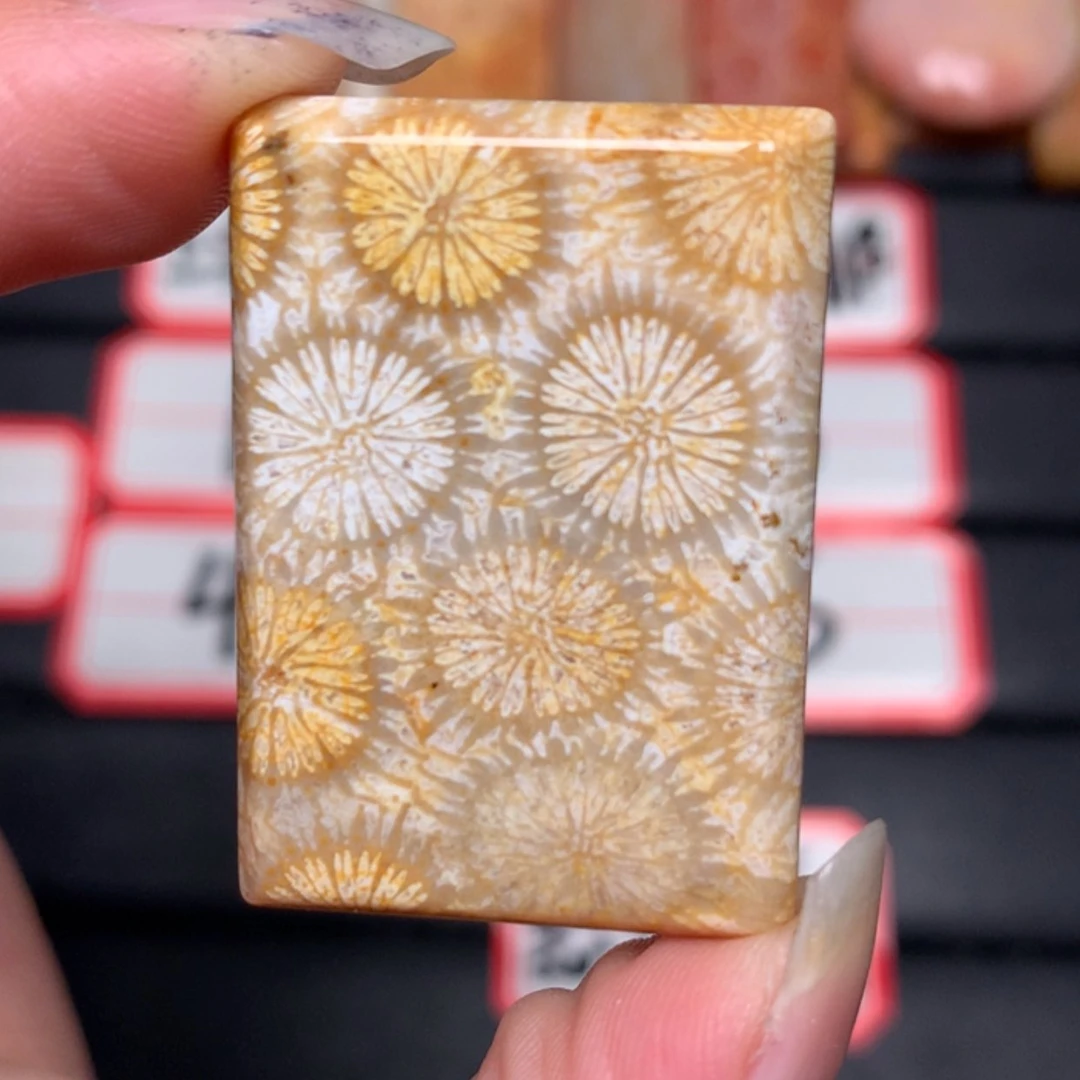 【闪购商品】硅化玉颈饰未镶嵌清*