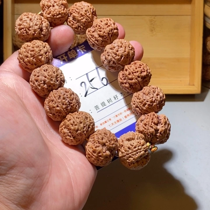 手串金刚菩提256号尺寸23矮壮巨肉