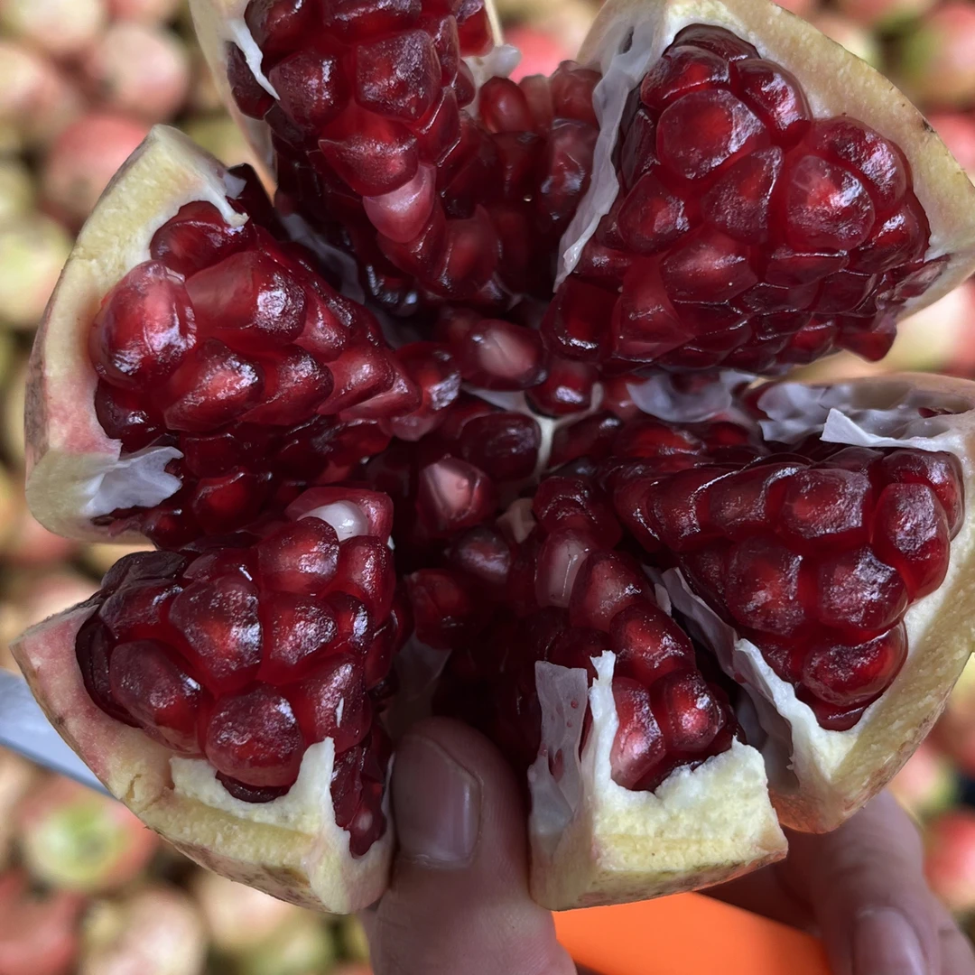 大花皮果，除皮面花外观不好看，果实依然饱满，不影响食用