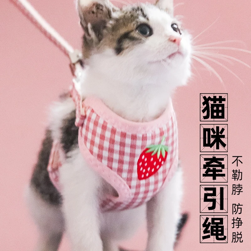新款牵引绳胸背带零食包猫咪牵引绳可调节外出遛猫绳