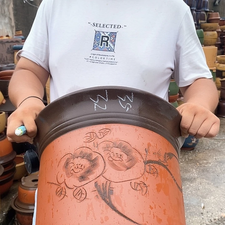 紫砂花盆盆栽观赏