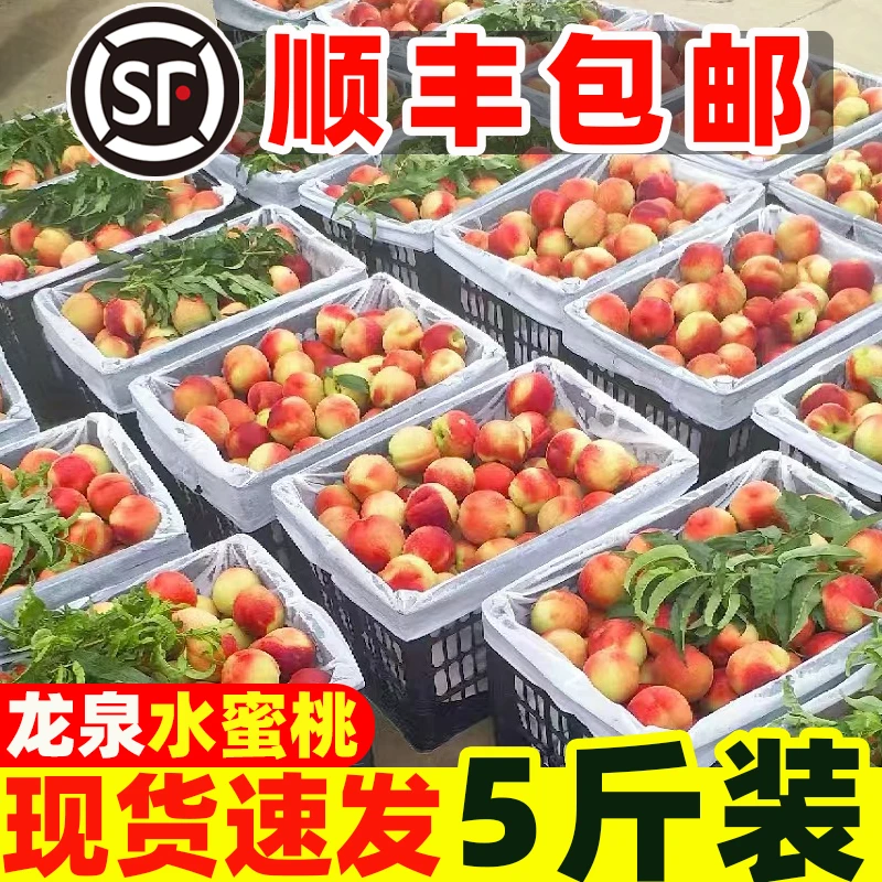 顺丰包邮】龙泉水蜜桃子5斤脆桃现摘新鲜红桃当季孕妇水果脆甜