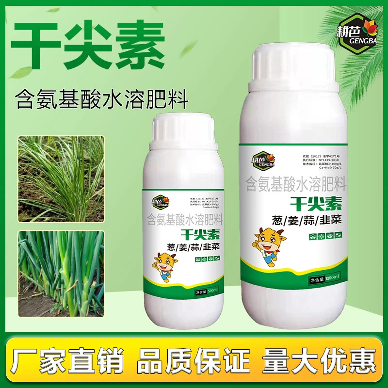 耕芭葱姜蒜韭菜干尖素防治干尖黄叶促生长促生根黄叶变绿蔬菜肥料