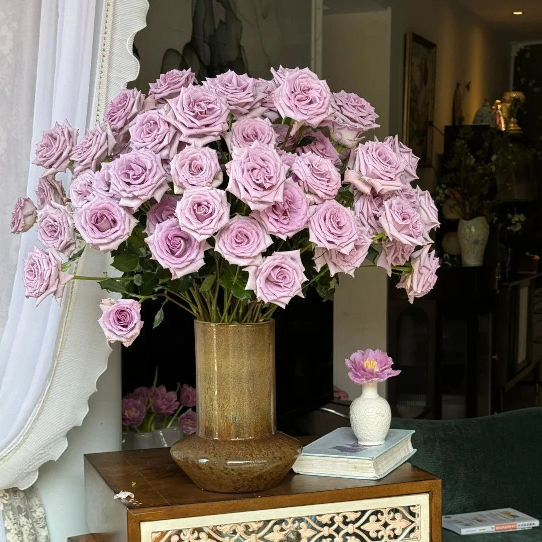 【九星蓝狐】精选九星蓝狐家居摆放插花云南鲜花优质鲜切花