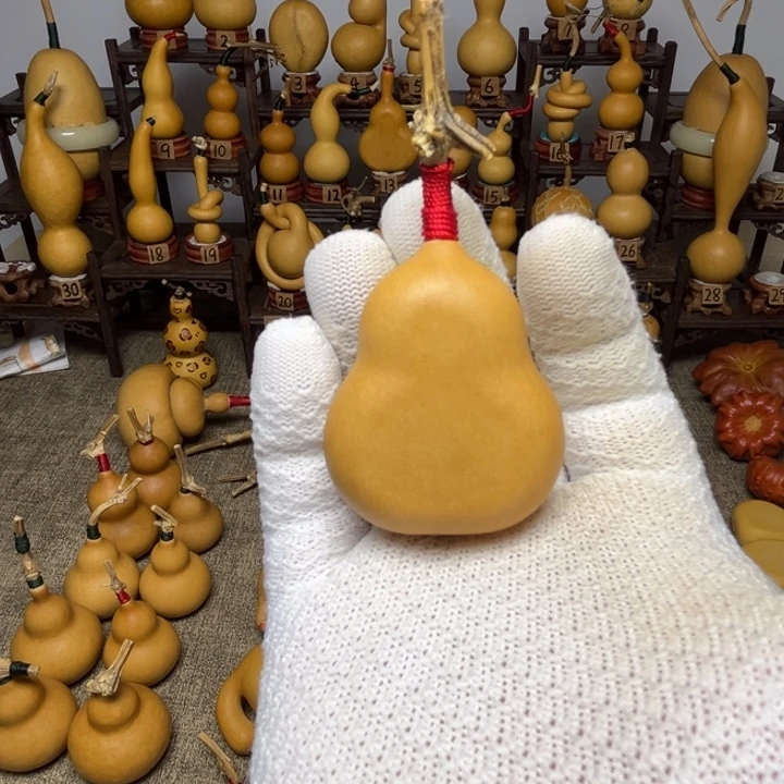 大***尚夹扁葫芦，厚皮响籽