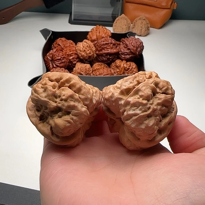 42-46-39蛙八腿开背18号