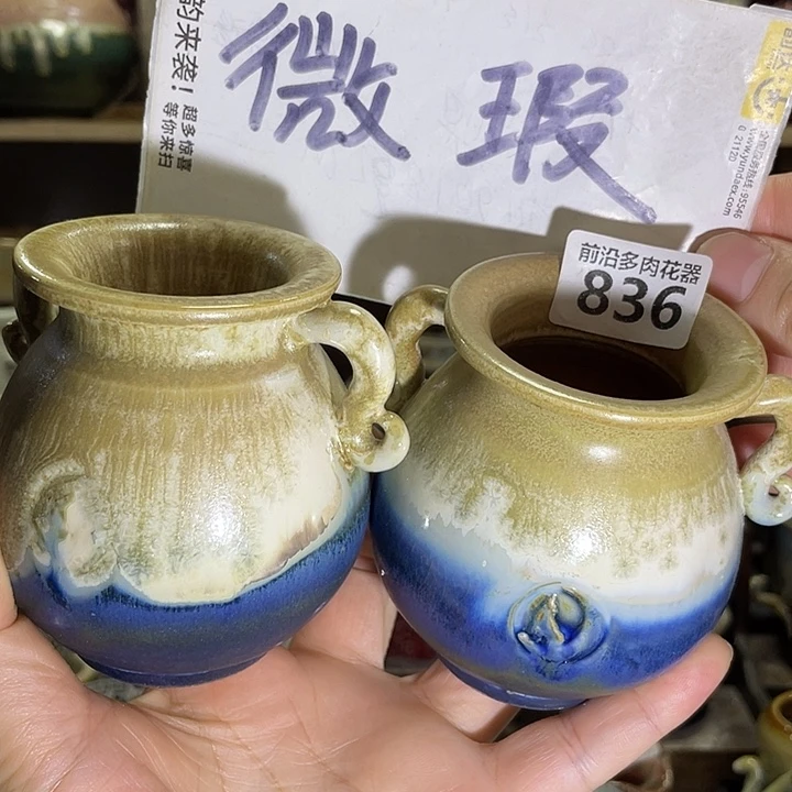 狼盆内口径4高度8