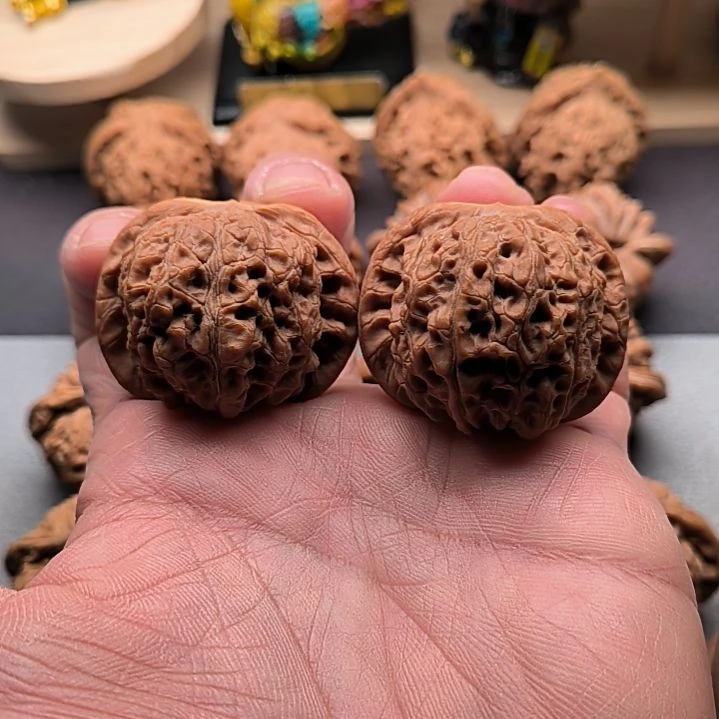 核桃血麒麟41+尺，尖微修。