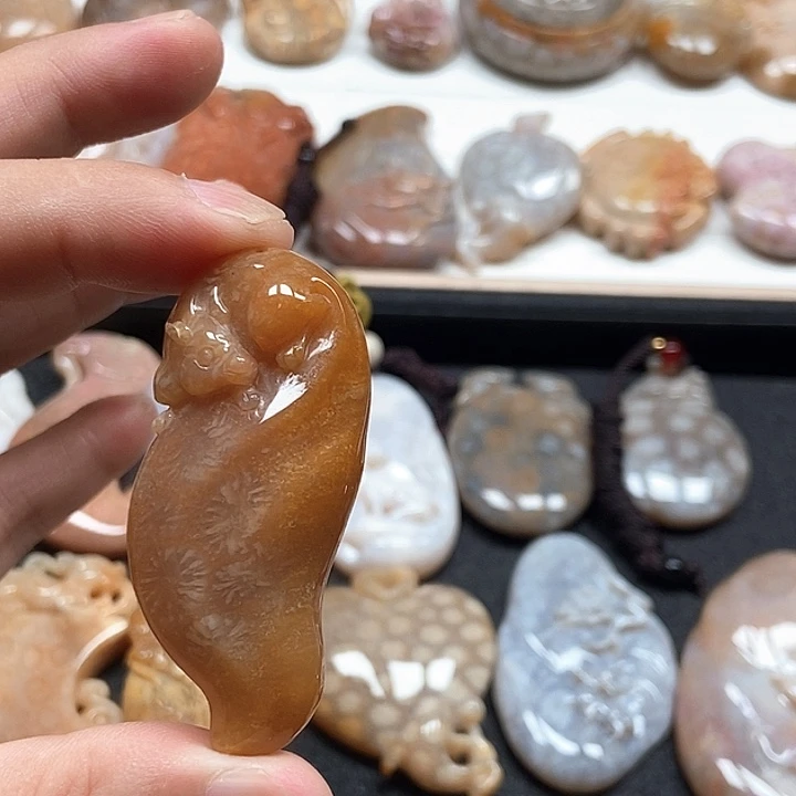 硅化珊瑚（珊瑚玉）未镶嵌颈饰