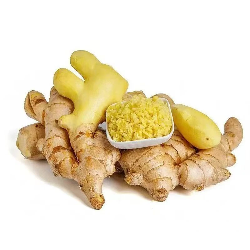 【农户自种】自产自销正宗小黄姜 精选老姜 姜味浓郁 3/5斤包邮