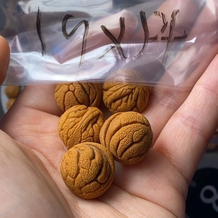 手串文玩核桃秦岭野生龙纹桃核19