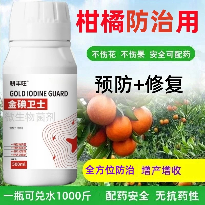 柑橘防治专用微生物菌柑橘沙皮烟煤脂点黄斑沃柑脐橙防治专用肥料