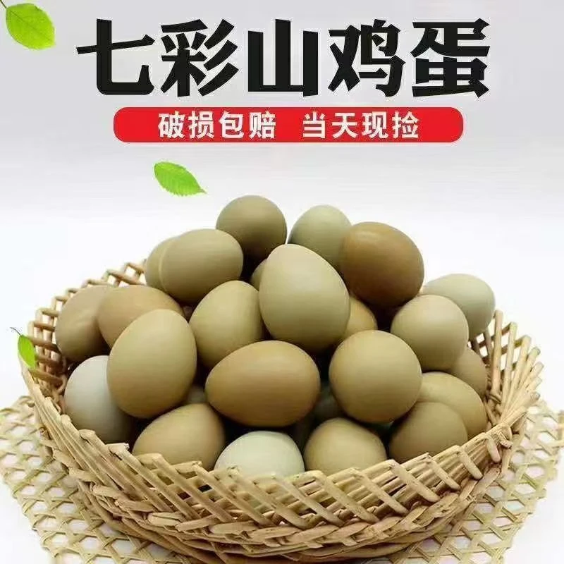 农家散养新鲜健康山鸡蛋鲜鸡蛋山林纯五谷喂养适合孕妇月子食用