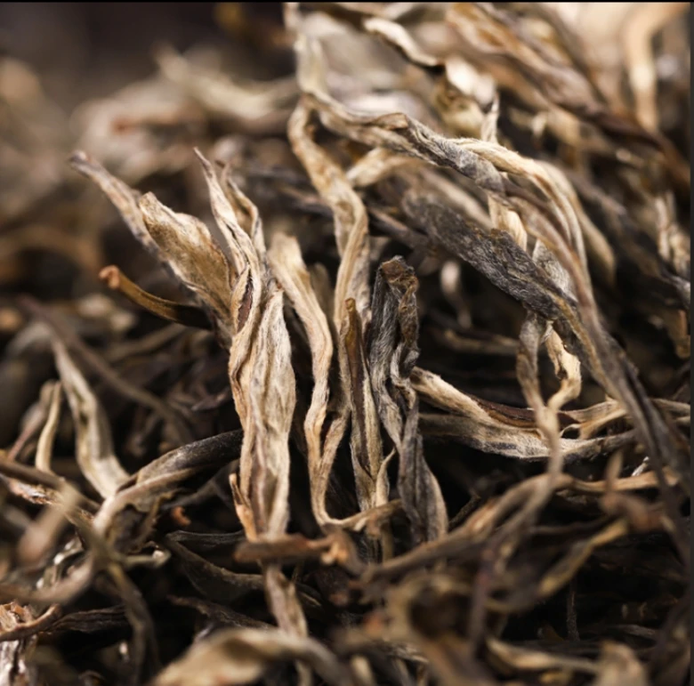 2024年保山蟒蛇地桂花古树普洱生茶散茶