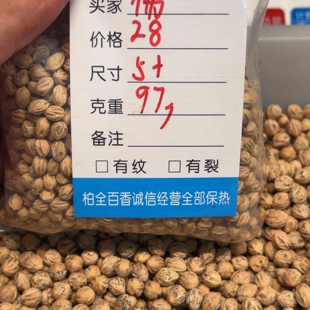 佛***间柏香籽散子 97 克散子