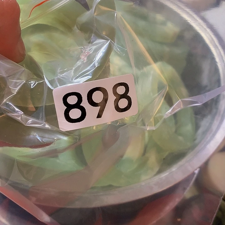 蛇纹石玉未镶嵌珠宝半成品d****乐
