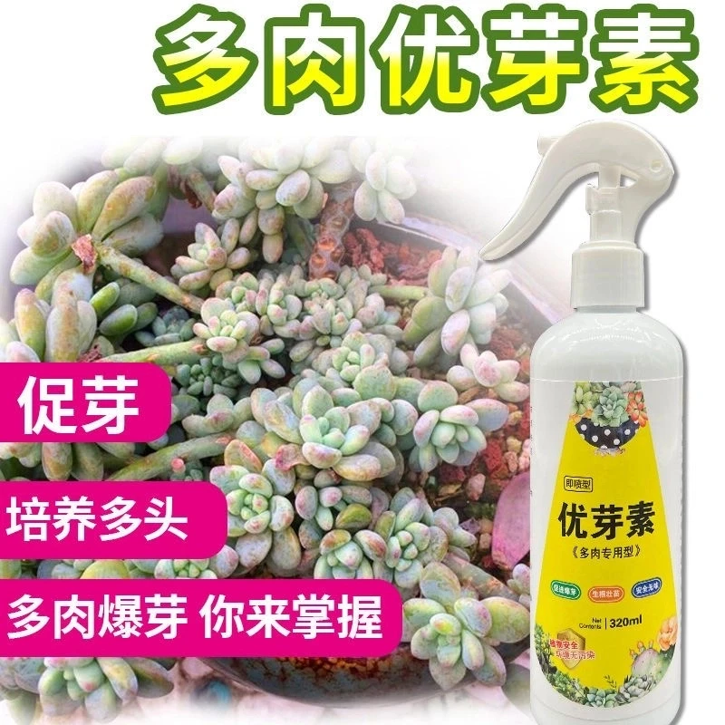 优芽素多肉专用叶插移栽促芽催芽爆芽素花盆家用肥料营养液