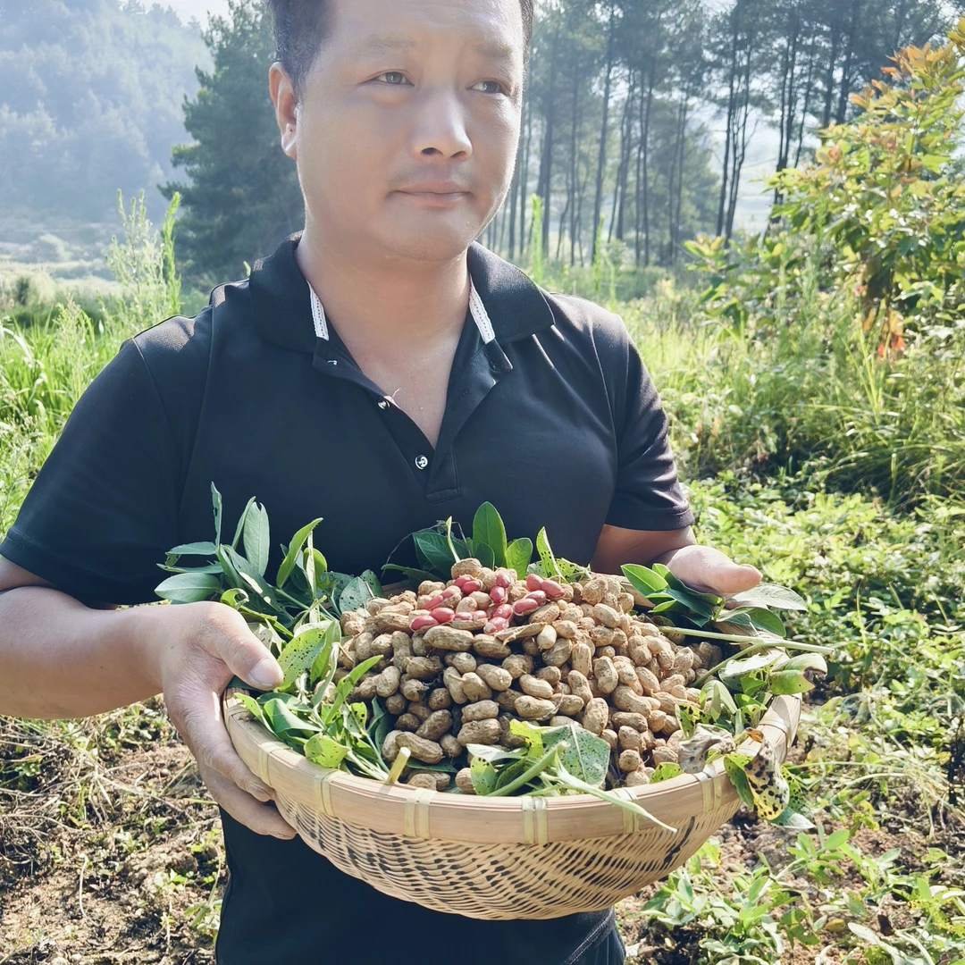 新鲜现挖带壳红皮湿花生农家自种，新鲜湿花生运输掉2两正常