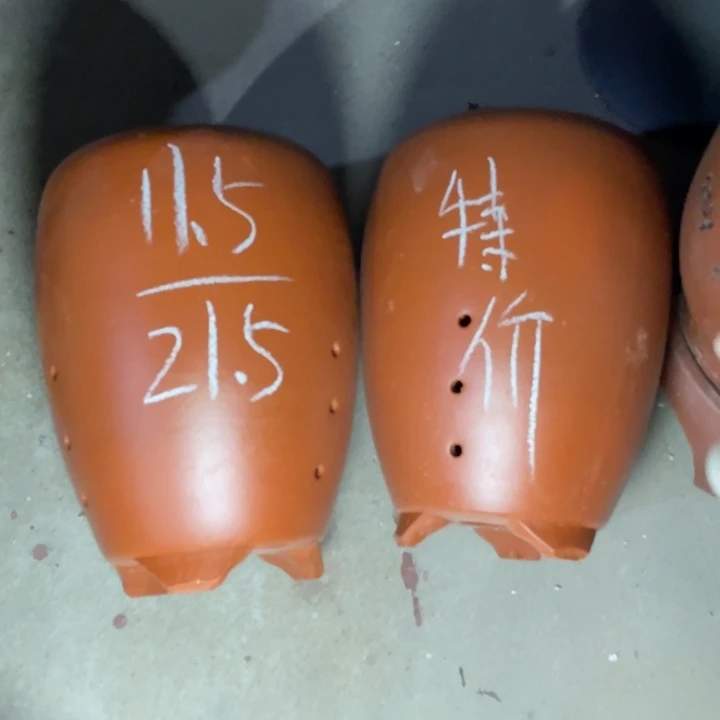 周深周深周深周深