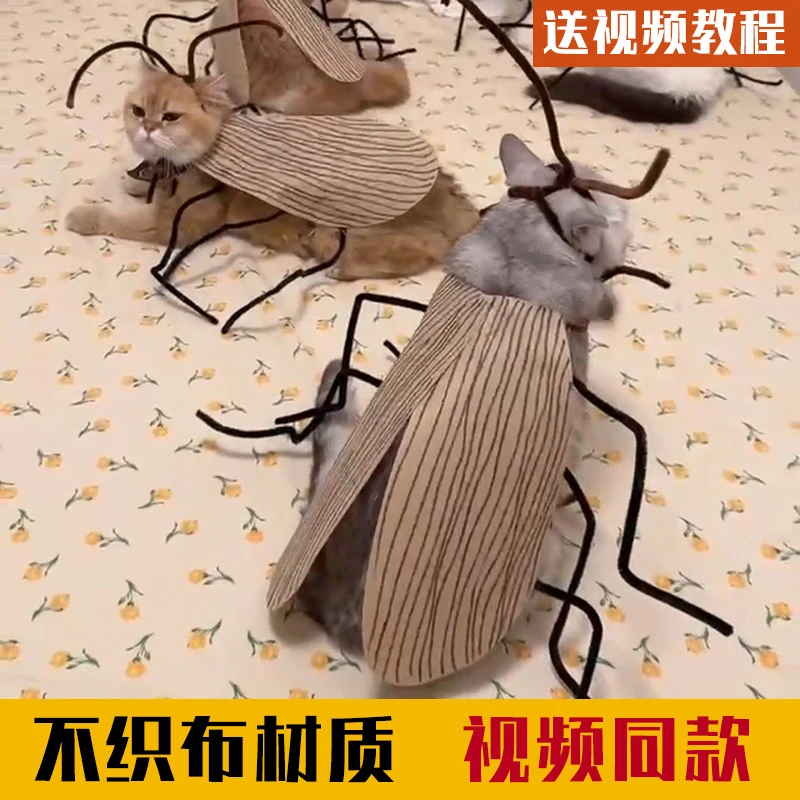 【艺凡】纯情蟑螂火辣辣猫咪衣服不织布扭扭棒DIY材料包搞怪道具