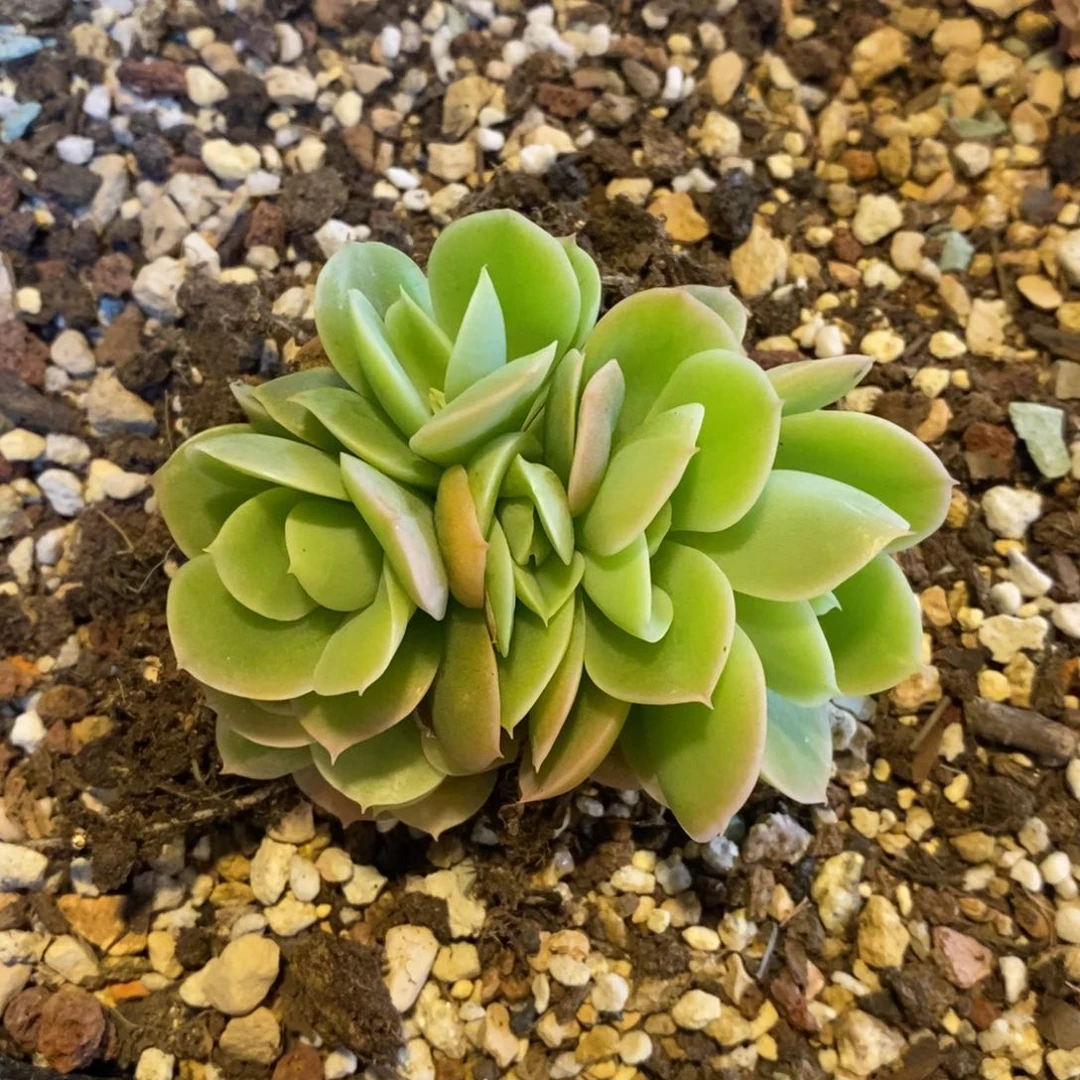 睦*行吗塔福袋发货，123456789