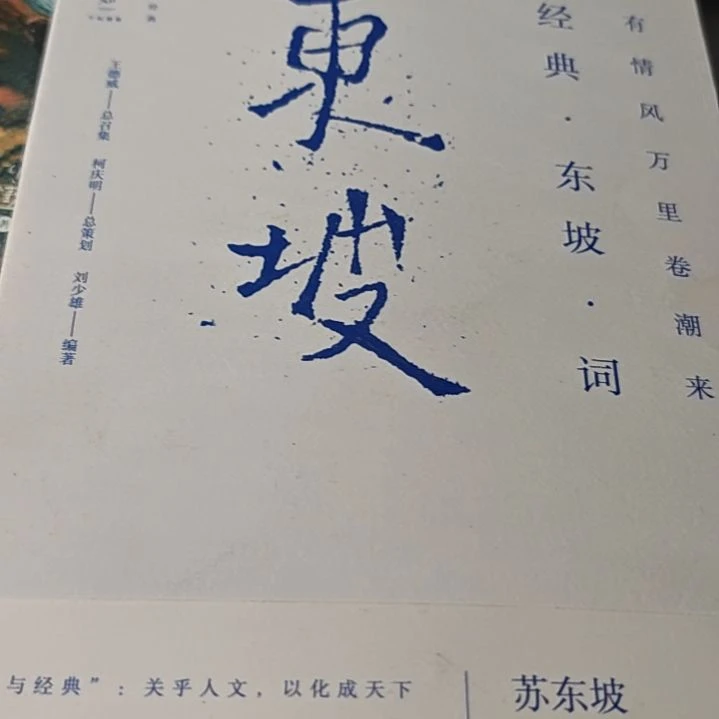东坡平装库存书平装