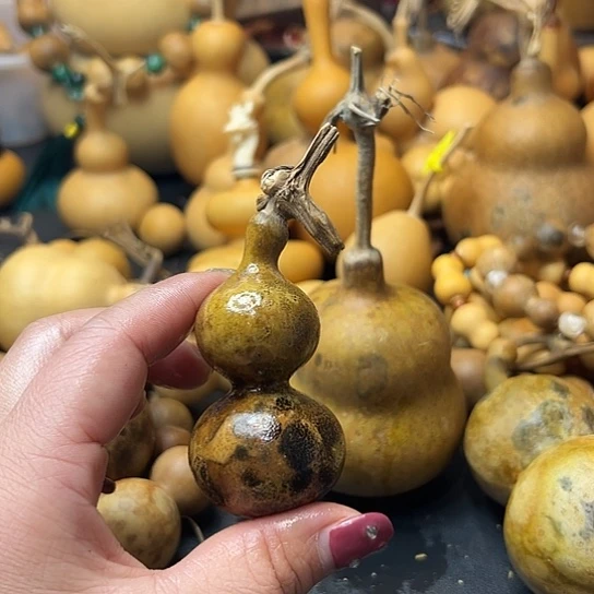 小*葫芦葫芦葫芦葫芦