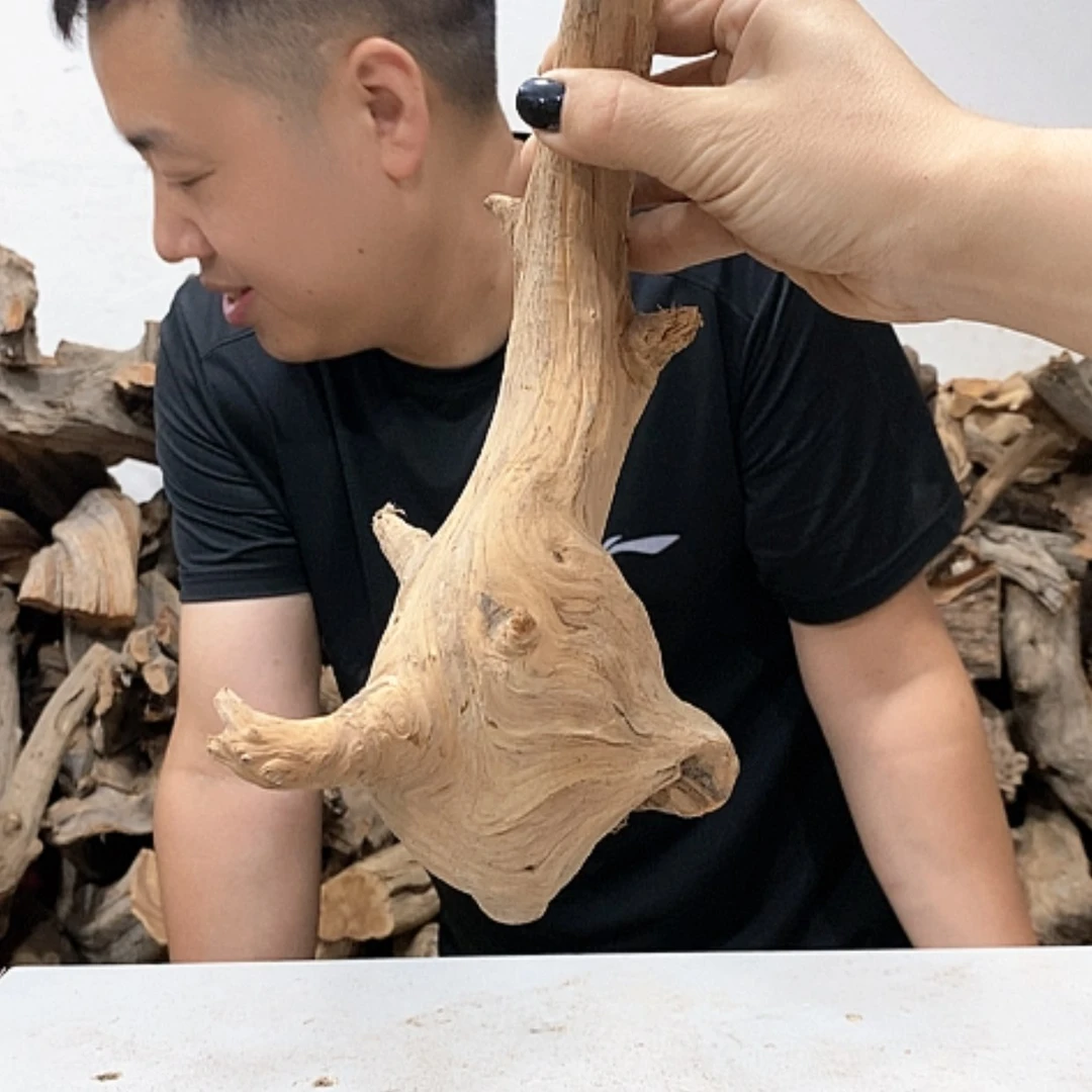 【闪购商品】柏木禹*我们都是好孩子