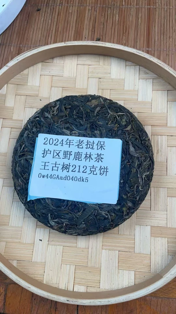 2024年老挝保护区野鹿林茶王古树212克饼0w44GAad040dk5-168