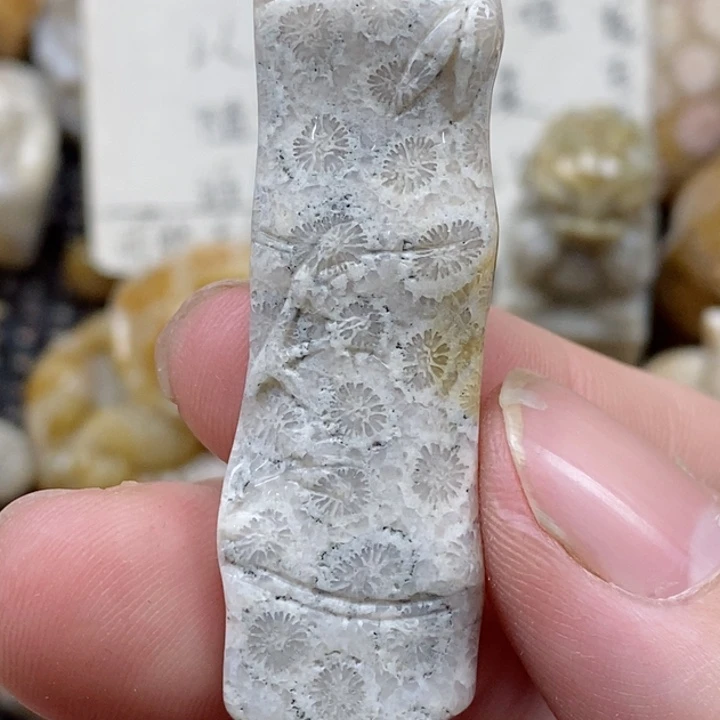 颈饰未镶嵌硅化珊瑚（珊瑚玉）有瑕