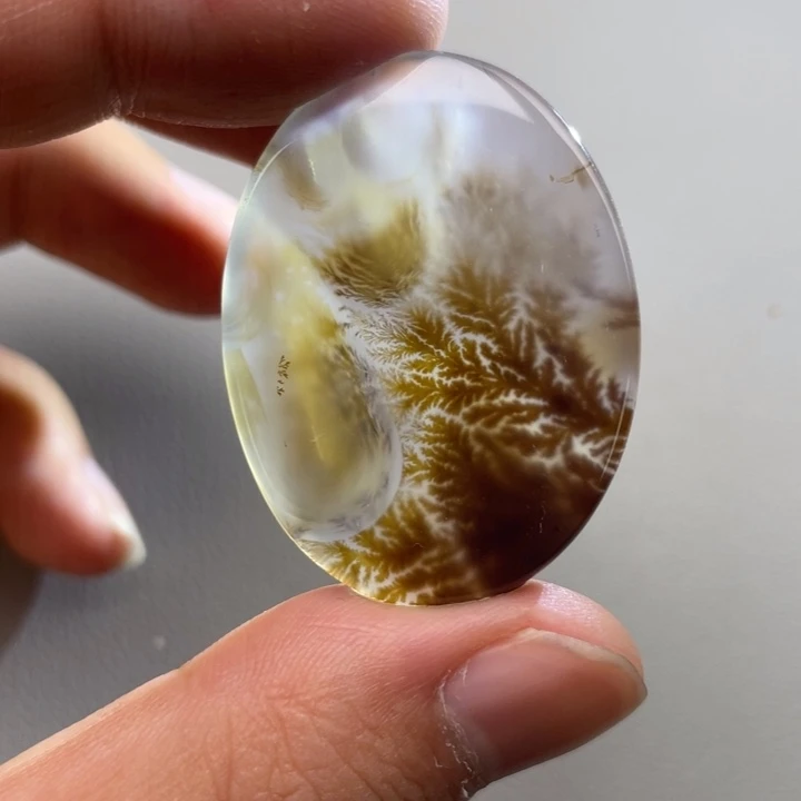 玛瑙/玉髓颈饰未镶嵌椿*