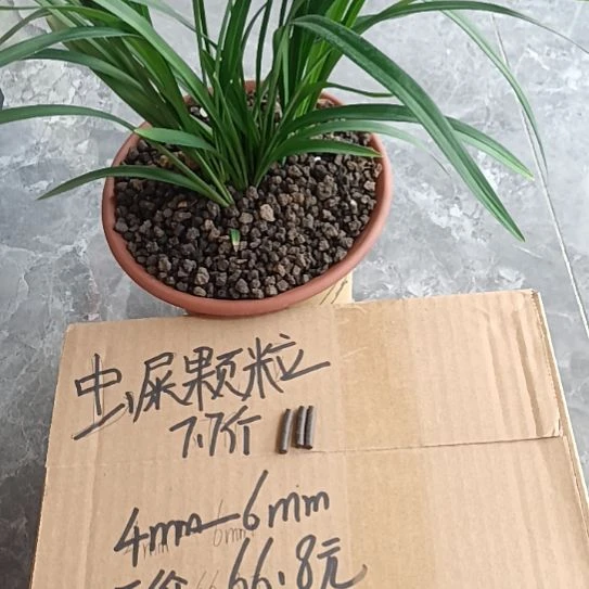 杨***椒兰菌黑山土虫屎颗粒7.7斤