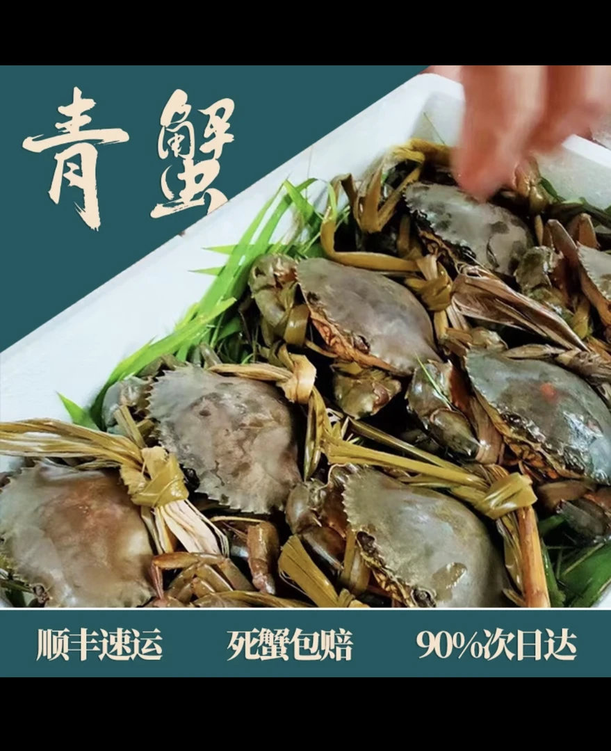 【顺丰活发】正宗青蟹肉蟹 公蟹肉鲜甜肥美 签收验货 请勿放冰箱