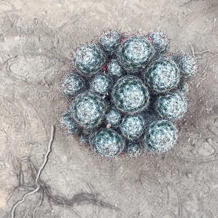 千***~哈哈哈哈哈哈哈哈哈哈哈哈哈