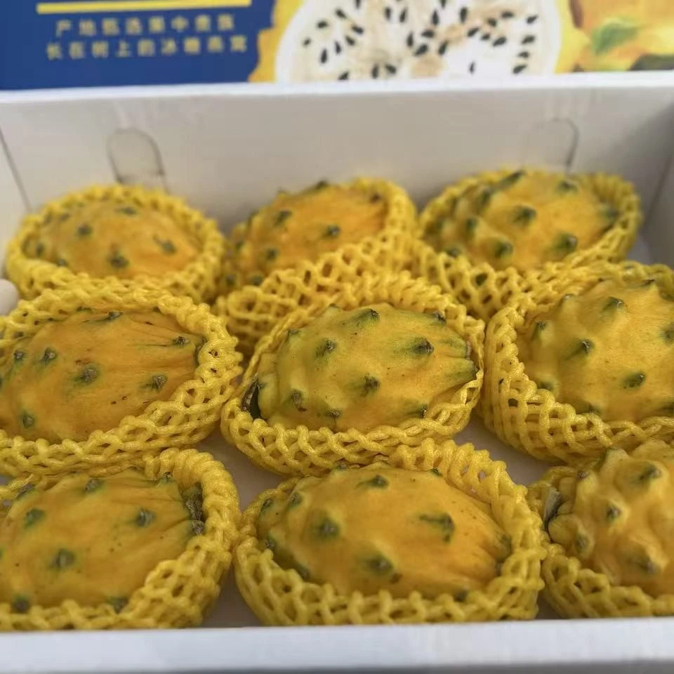 花皮燕窝果2颗