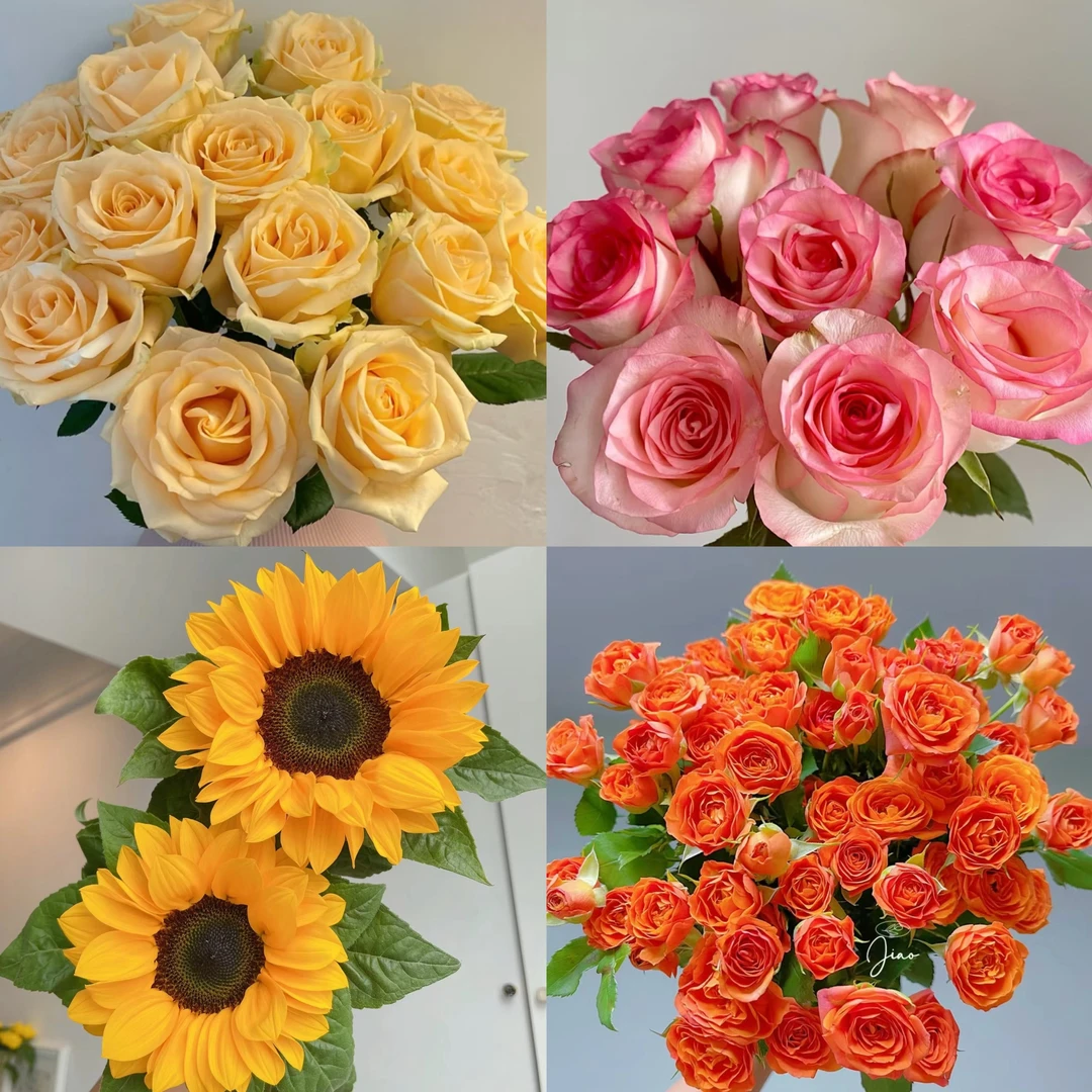 【爱莎香槟玫瑰】云南鲜花客厅居家插花气温5°以下需拍保温棉